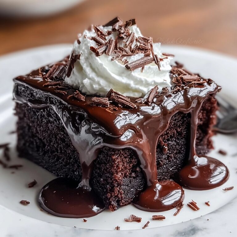 Hot Fudge Chocolate Pudding Cake Recipe